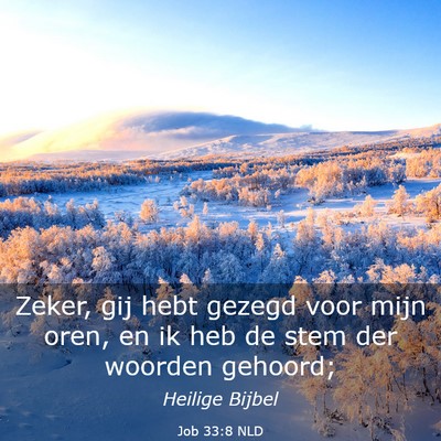Picture 03 - Job 33:8 NLD - Zeker, gij hebt gezegd voor mijn oren, en ik heb - Bible Verse Picture