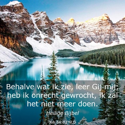 Picture 03 - Job 34:32 NLD - Behalve wat ik zie, leer Gij mij; heb ik onrecht - Bible Verse Picture
