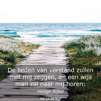 Picture 03 - Job 34:34 NLD - De lieden van verstand zullen met mij zeggen, en - Bible Verse Picture