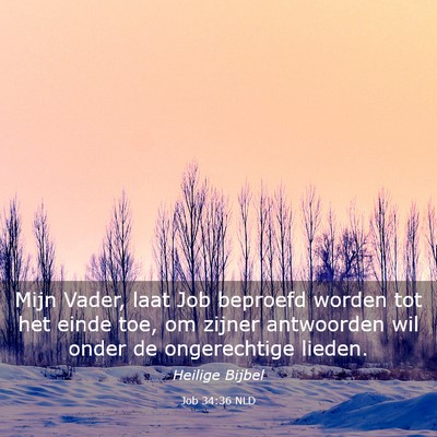 Picture 03 - Job 34:36 NLD - Mijn Vader, laat Job beproefd worden tot het - Bible Verse Picture