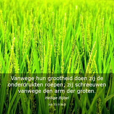 Picture 03 - Job 35:9 NLD - Vanwege hun grootheid doen zij de onderdrukten - Bible Verse Picture