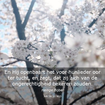 Picture 03 - Job 36:10 NLD - En Hij openbaart het voor hunlieder oor ter - Bible Verse Picture