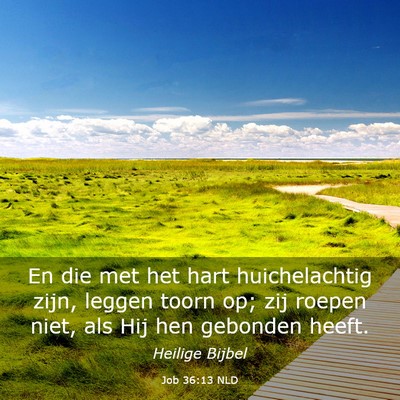 Picture 03 - Job 36:13 NLD - En die met het hart huichelachtig zijn, leggen - Bible Verse Picture
