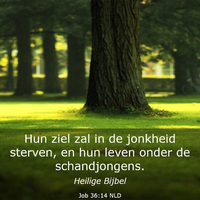 Picture 03 - Job 36:14 NLD - Hun ziel zal in de jonkheid sterven, en hun leven - Bible Verse Picture