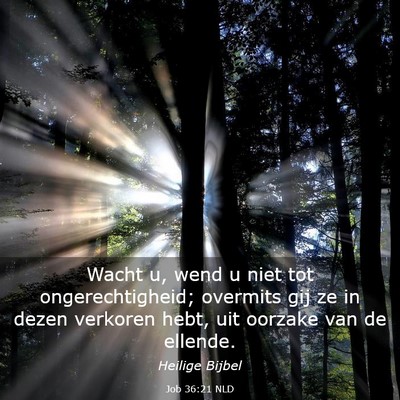 Picture 03 - Job 36:21 NLD - Wacht u, wend u niet tot ongerechtigheid; - Bible Verse Picture