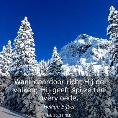 Picture 03 - Job 36:31 NLD - Want daardoor richt Hij de volken; Hij geeft - Bible Verse Picture