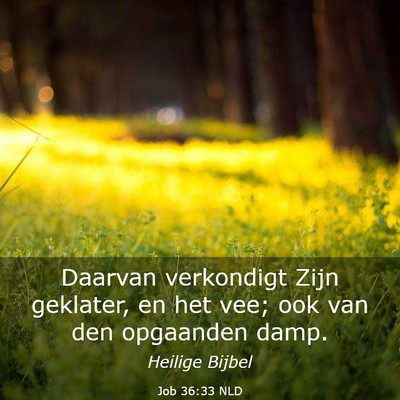 Picture 03 - Job 36:33 NLD - Daarvan verkondigt Zijn geklater, en het vee; ook - Bible Verse Picture