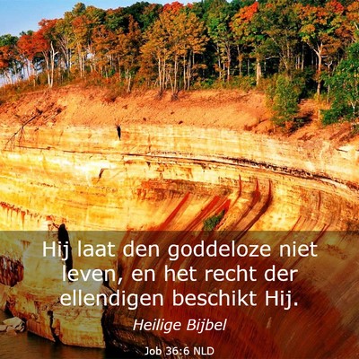 Picture 03 - Job 36:6 NLD - Hij laat den goddeloze niet leven, en het recht - Bible Verse Picture