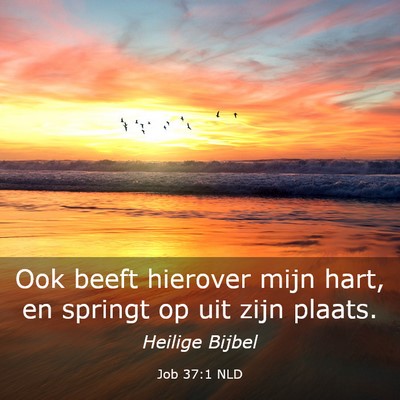Picture 03 - Job 37:1 NLD - Ook beeft hierover mijn hart, en springt op uit - Bible Verse Picture