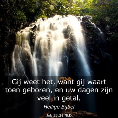 Picture 03 - Job 38:21 NLD - Gij weet het, want gij waart toen geboren, en uw - Bible Verse Picture