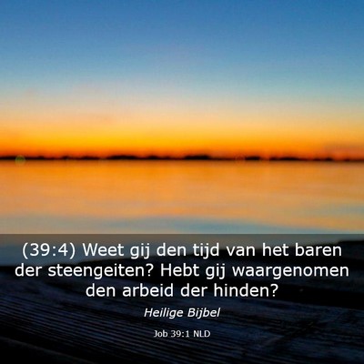 Picture 03 - Job 39:1 NLD - (39:4) Weet gij den tijd van het baren der - Bible Verse Picture
