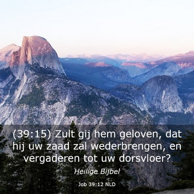 Picture 03 - Job 39:12 NLD - (39:15) Zult gij hem geloven, dat hij uw zaad zal - Bible Verse Picture