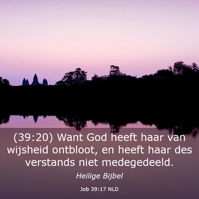 Picture 03 - Job 39:17 NLD - (39:20) Want God heeft haar van wijsheid - Bible Verse Picture