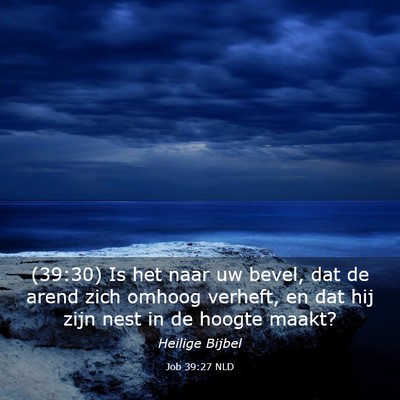 Picture 03 - Job 39:27 NLD - (39:30) Is het naar uw bevel, dat de arend zich - Bible Verse Picture