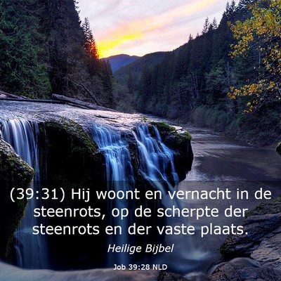 Picture 03 - Job 39:28 NLD - (39:31) Hij woont en vernacht in de steenrots, op - Bible Verse Picture