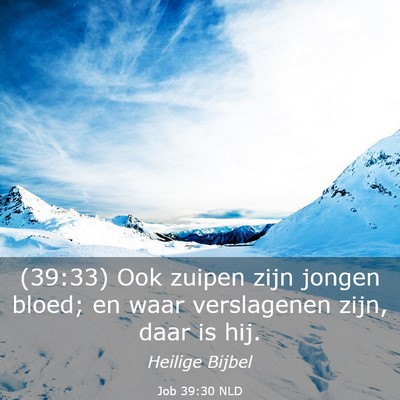 Picture 03 - Job 39:30 NLD - (39:33) Ook zuipen zijn jongen bloed; en waar - Bible Verse Picture