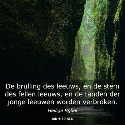 Picture 03 - Job 4:10 NLD - De brulling des leeuws, en de stem des fellen - Bible Verse Picture