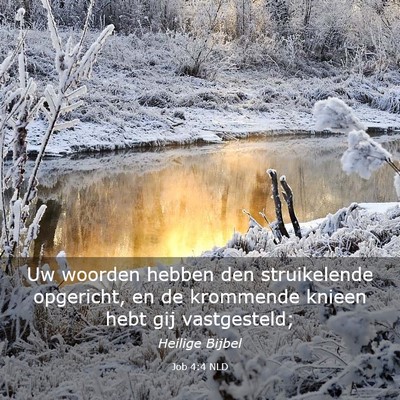 Picture 03 - Job 4:4 NLD - Uw woorden hebben den struikelende opgericht, en - Bible Verse Picture