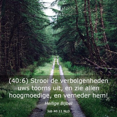Picture 03 - Job 40:11 NLD - (40:6) Strooi de verbolgenheden uws toorns uit, - Bible Verse Picture