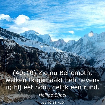 Picture 03 - Job 40:15 NLD - (40:10) Zie nu Behemoth, welken Ik gemaakt heb - Bible Verse Picture