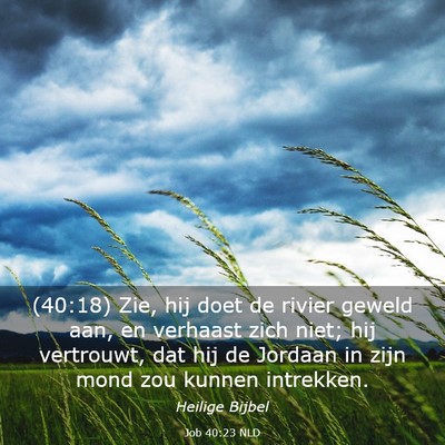 Picture 03 - Job 40:23 NLD - (40:18) Zie, hij doet de rivier geweld aan, en - Bible Verse Picture