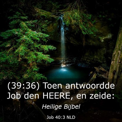 Picture 03 - Job 40:3 NLD - (39:36) Toen antwoordde Job den HEERE, en - Bible Verse Picture