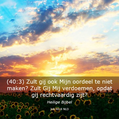Picture 03 - Job 40:8 NLD - (40:3) Zult gij ook Mijn oordeel te niet maken? - Bible Verse Picture