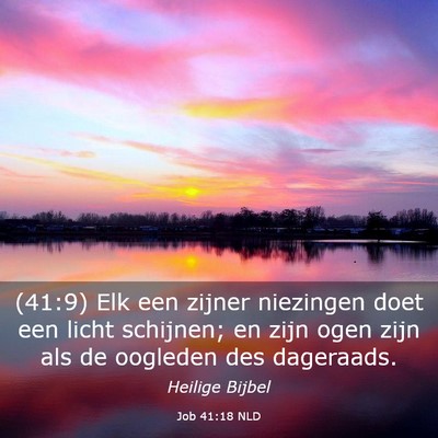 Picture 03 - Job 41:18 NLD - (41:9) Elk een zijner niezingen doet een licht - Bible Verse Picture