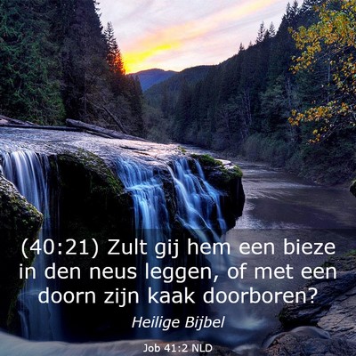 Picture 03 - Job 41:2 NLD - (40:21) Zult gij hem een bieze in den neus - Bible Verse Picture