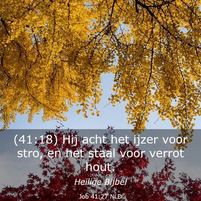Picture 03 - Job 41:27 NLD - (41:18) Hij acht het ijzer voor stro, en het - Bible Verse Picture