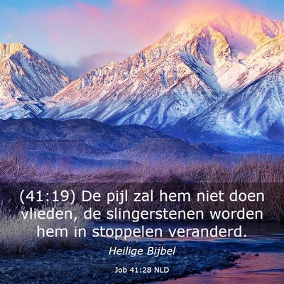 Picture 03 - Job 41:28 NLD - (41:19) De pijl zal hem niet doen vlieden, de - Bible Verse Picture
