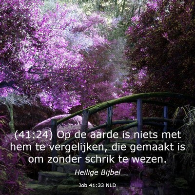 Picture 03 - Job 41:33 NLD - (41:24) Op de aarde is niets met hem te - Bible Verse Picture