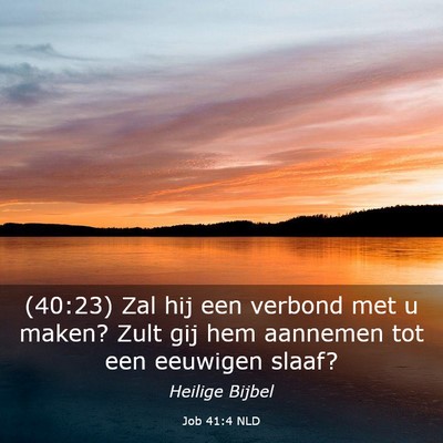 Picture 03 - Job 41:4 NLD - (40:23) Zal hij een verbond met u maken? Zult gij - Bible Verse Picture