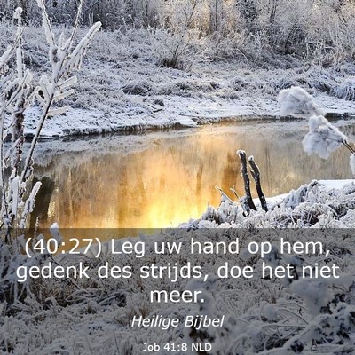 Picture 03 - Job 41:8 NLD - (40:27) Leg uw hand op hem, gedenk des strijds, - Bible Verse Picture