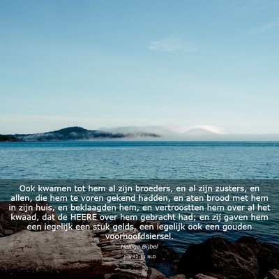 Picture 03 - Job 42:11 NLD - Ook kwamen tot hem al zijn broeders, en al zijn - Bible Verse Picture