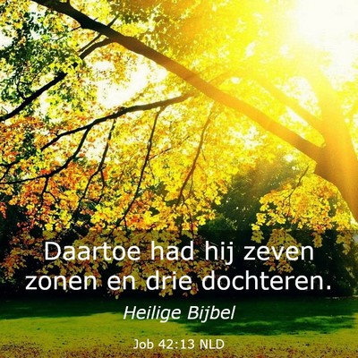Picture 03 - Job 42:13 NLD - Daartoe had hij zeven zonen en drie - Bible Verse Picture