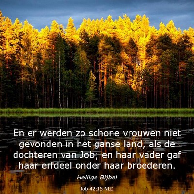 Picture 03 - Job 42:15 NLD - En er werden zo schone vrouwen niet gevonden in - Bible Verse Picture