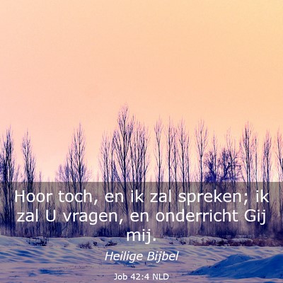 Picture 03 - Job 42:4 NLD - Hoor toch, en ik zal spreken; ik zal U vragen, en - Bible Verse Picture
