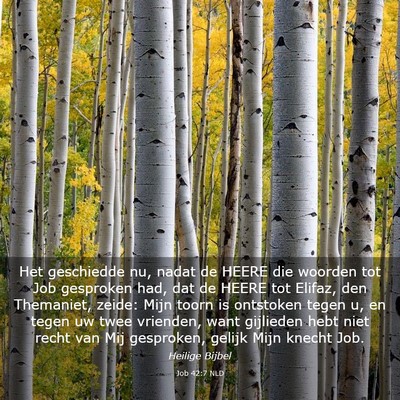 Picture 03 - Job 42:7 NLD - Het geschiedde nu, nadat de HEERE die woorden tot - Bible Verse Picture