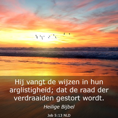 Picture 03 - Job 5:13 NLD - Hij vangt de wijzen in hun arglistigheid; dat de - Bible Verse Picture