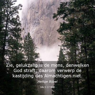 Picture 03 - Job 5:17 NLD - Zie, gelukzalig is de mens, denwelken God straft; - Bible Verse Picture