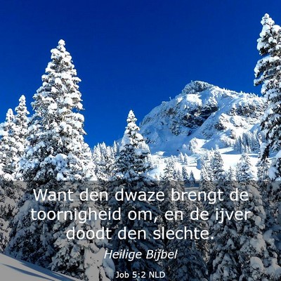 Picture 03 - Job 5:2 NLD - Want den dwaze brengt de toornigheid om, en de - Bible Verse Picture