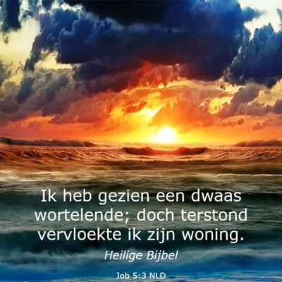Picture 03 - Job 5:3 NLD - Ik heb gezien een dwaas wortelende; doch terstond - Bible Verse Picture