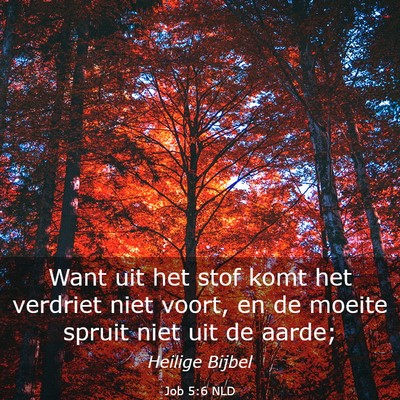 Picture 03 - Job 5:6 NLD - Want uit het stof komt het verdriet niet voort, - Bible Verse Picture