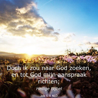 Picture 03 - Job 5:8 NLD - Doch ik zou naar God zoeken, en tot God mijn - Bible Verse Picture