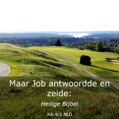 Picture 03 - Job 6:1 NLD - Maar Job antwoordde en - Bible Verse Picture
