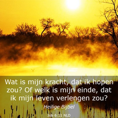 Picture 03 - Job 6:11 NLD - Wat is mijn kracht, dat ik hopen zou? Of welk is - Bible Verse Picture