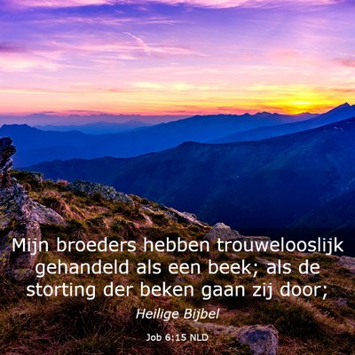 Picture 03 - Job 6:15 NLD - Mijn broeders hebben trouwelooslijk gehandeld als - Bible Verse Picture
