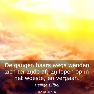 Picture 03 - Job 6:18 NLD - De gangen haars wegs wenden zich ter zijde af; - Bible Verse Picture