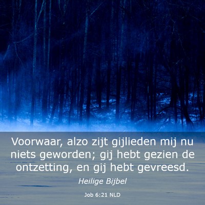 Picture 03 - Job 6:21 NLD - Voorwaar, alzo zijt gijlieden mij nu niets - Bible Verse Picture